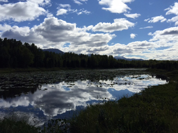 Baxter Bog